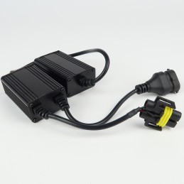 2x modules Anti-erreur pour Kit LED H1 - voiture multiplexée - 12V